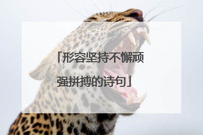 形容坚持不懈顽强拼搏的诗句
