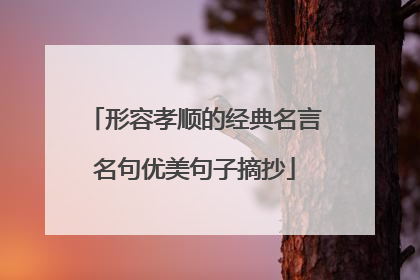 形容孝顺的经典名言名句优美句子摘抄