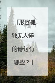 形容孤独无人懂的诗句有哪些？