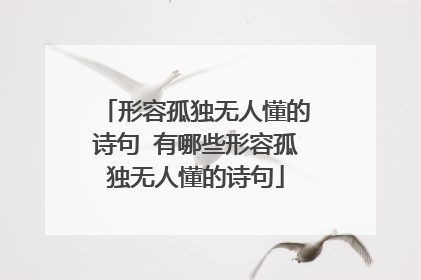 形容孤独无人懂的诗句 有哪些形容孤独无人懂的诗句