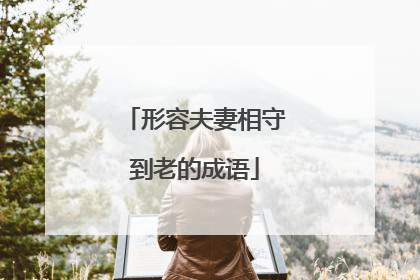 形容夫妻相守到老的成语