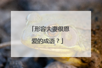 形容夫妻很恩爱的成语？