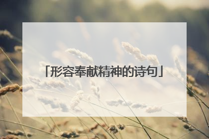 形容奉献精神的诗句