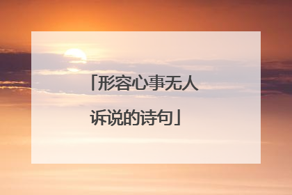 形容心事无人诉说的诗句