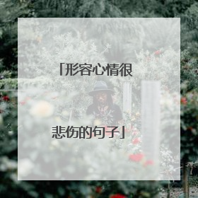 形容心情很悲伤的句子