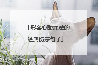 形容心酸痛楚的经典伤感句子