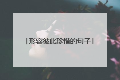 形容彼此珍惜的句子