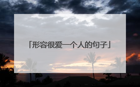 形容很爱一个人的句子