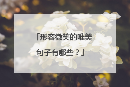 形容微笑的唯美句子有哪些?