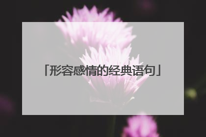 形容感情的经典语句