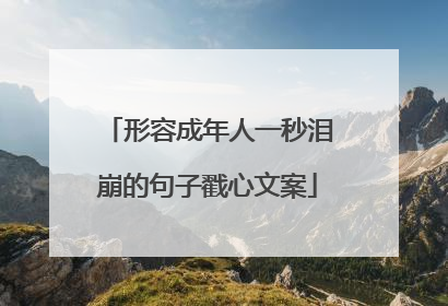 形容成年人一秒泪崩的句子戳心文案