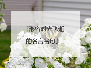 形容时光飞逝的名言名句
