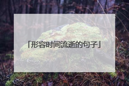 形容时间流逝的句子