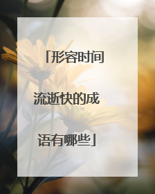 形容时间流逝快的成语有哪些
