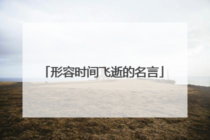 形容时间飞逝的名言