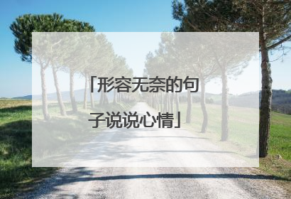 形容无奈的句子说说心情