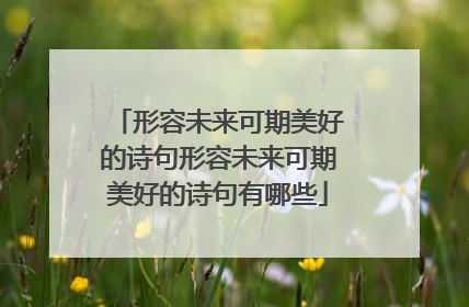 形容未来可期美好的诗句形容未来可期美好的诗句有哪些