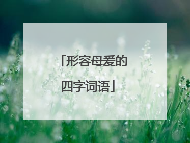 形容母爱的四字词语