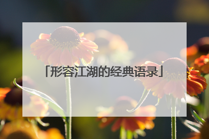 形容江湖的经典语录