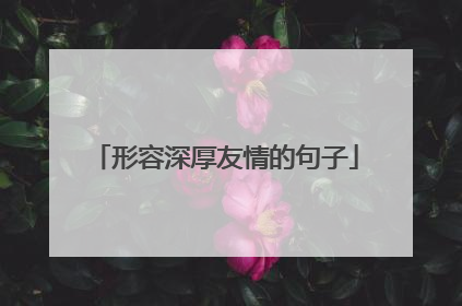 形容深厚友情的句子