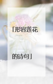 形容莲花的诗句