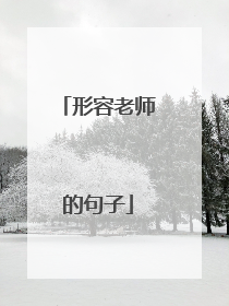 形容老师的句子