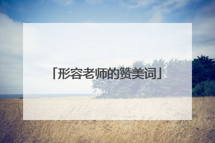形容老师的赞美词