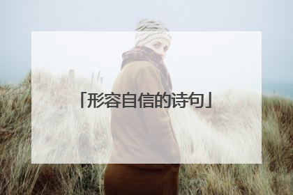 形容自信的诗句