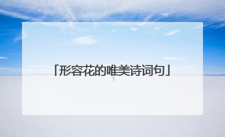 形容花的唯美诗词句