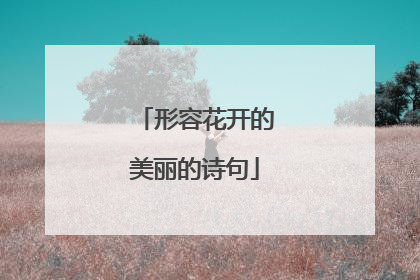 形容花开的美丽的诗句