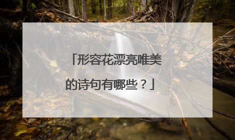 形容花漂亮唯美的诗句有哪些？