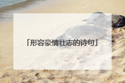 形容豪情壮志的诗句