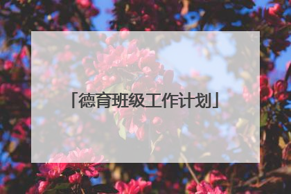 德育班级工作计划