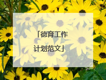 德育工作计划范文