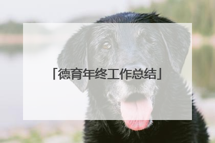 德育年终工作总结