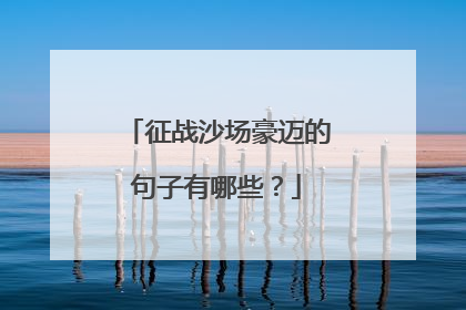 征战沙场豪迈的句子有哪些？