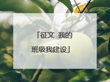 征文 我的班级我建设