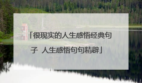 很现实的人生感悟经典句子 人生感悟句句精辟