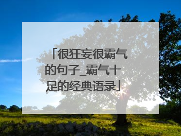 很狂妄很霸气的句子_霸气十足的经典语录
