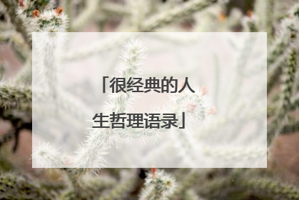 很经典的人生哲理语录