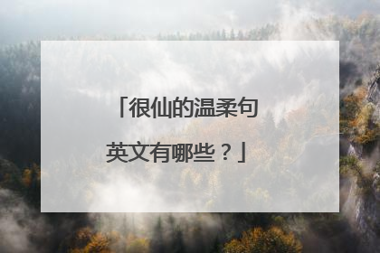 很仙的温柔句英文有哪些？