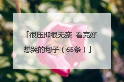 很压抑很无奈 看完好想哭的句子（65条）