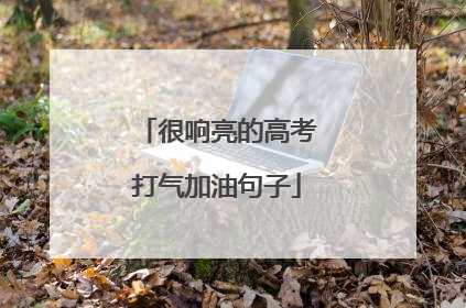 很响亮的高考打气加油句子