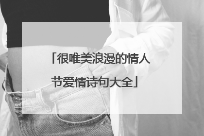 很唯美浪漫的情人节爱情诗句大全