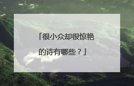 很小众却很惊艳的诗有哪些？