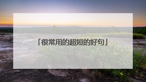 很常用的超短的好句