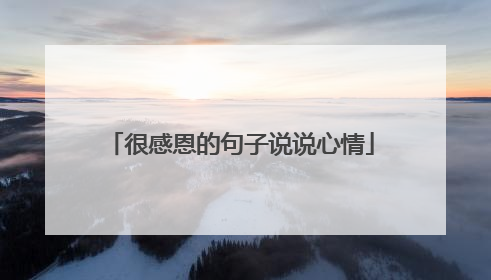 很感恩的句子说说心情