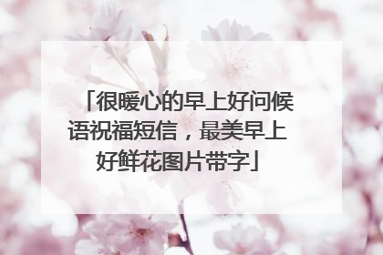 很暖心的早上好问候语祝福短信，最美早上好鲜花图片带字