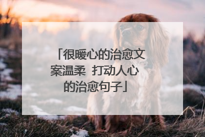 很暖心的治愈文案温柔 打动人心的治愈句子
