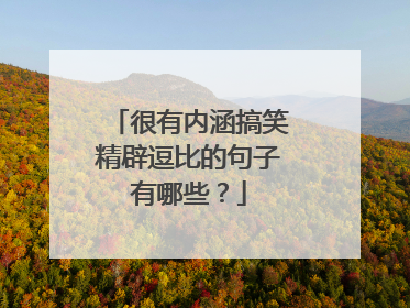 很有内涵搞笑精辟逗比的句子有哪些？